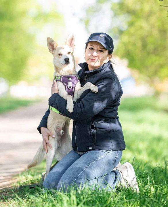 Собаки в Москве: Бельчик из приюта ищет дом Мальчик, Бесплатно - фото 4