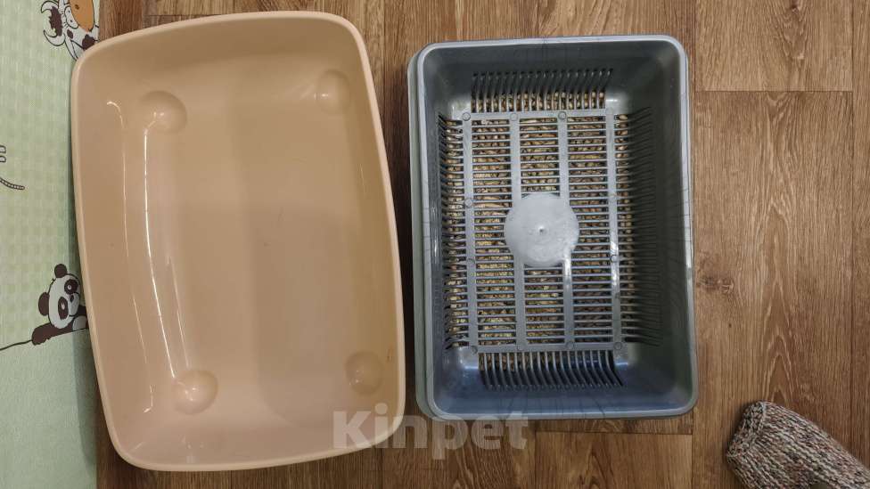 Кошки в Владимире: Отдам в добрые руки котёнка Девочка, Бесплатно - фото 4