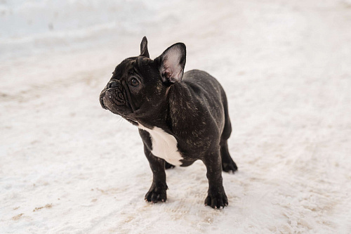 Готовы к переезду.