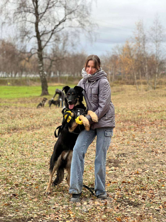 Собаки в Москве: Крупный щенок Девочка, Бесплатно - фото 5