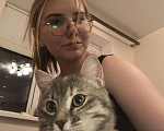 Кошки в Ставрополе: Отдам кошечку в добрые руки Девочка, Бесплатно - фото 2