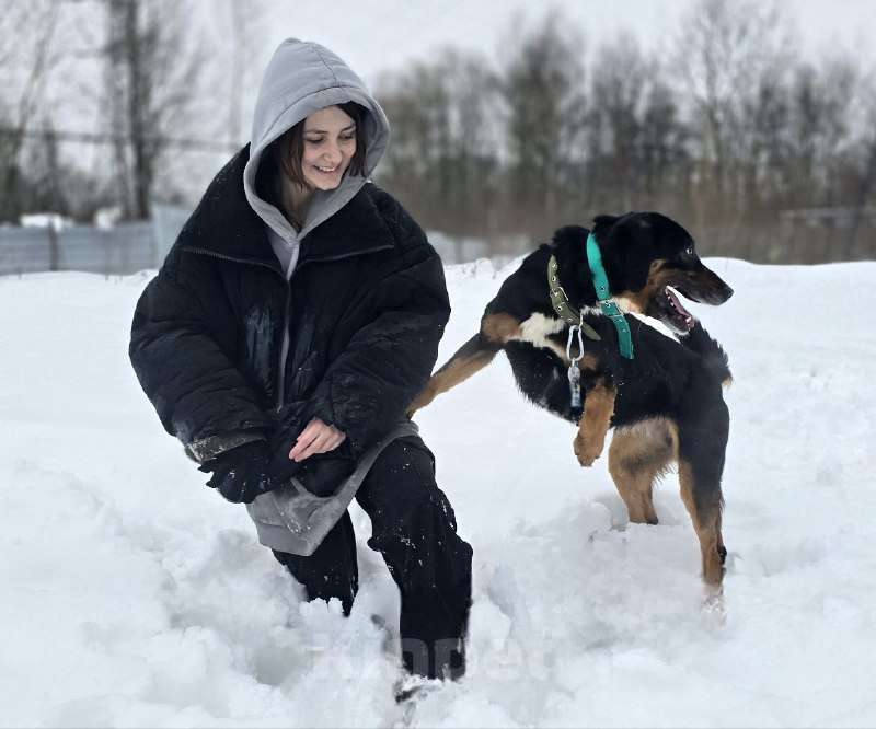 Собаки в Королеве: Тильда - ураган эмоций и чувств, движение, активность и «жить жизнь на полную» Девочка, Бесплатно - фото 5