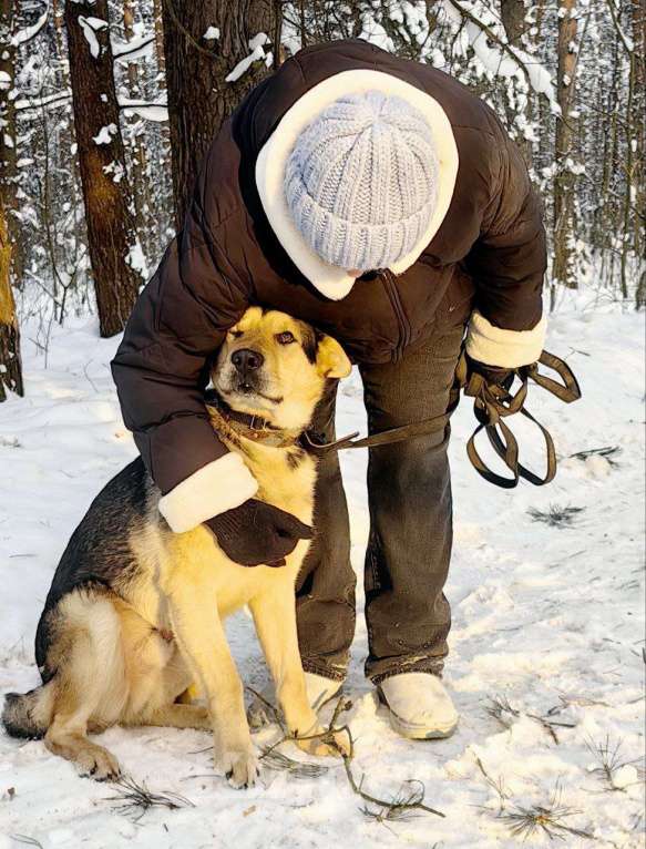 Кошки в Балашихе: хотели отравить, успели спасти классный собакен ищет дом Девочка, Бесплатно - фото 1