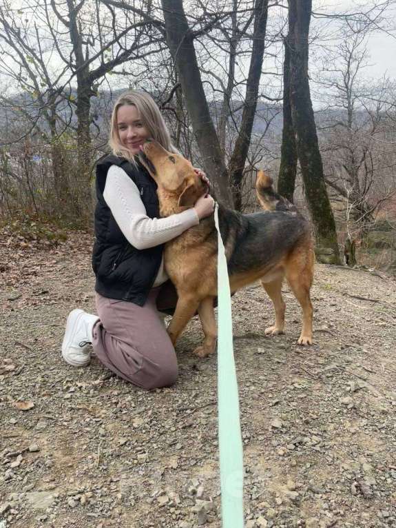 Собаки в других городах Краснодарского края: Метис гончей и лабрадора в дар с доставкой чипирован Мальчик, Бесплатно - фото 3