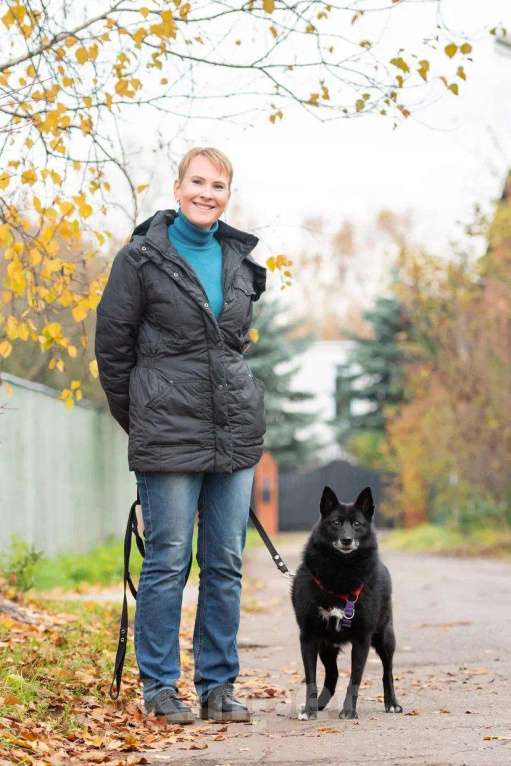 Собаки в Лобне: Тесси улыбается, а в глазах такая отчаянная надежда...Тесси очень нужен дом Девочка, Бесплатно - фото 5