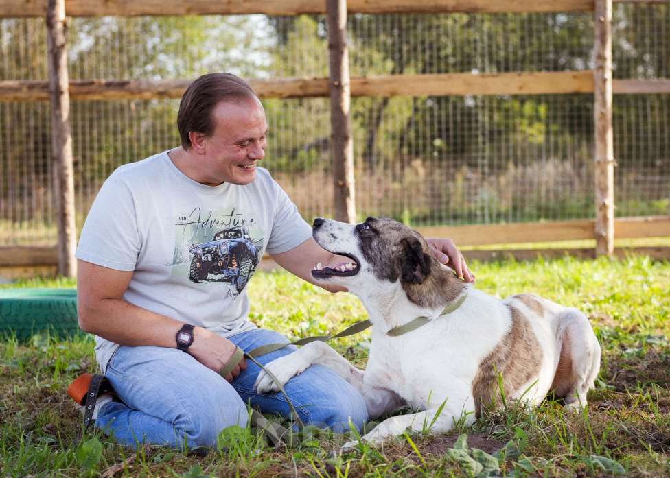 Собаки в Москве: Супер-ласковый парень в добрые руки! Мальчик, Бесплатно - фото 8