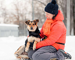 Собаки в Москве: Сага ищет самые добрые руки Девочка, Бесплатно - фото 2
