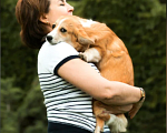 Собаки в Тольятти: Девочка Эстель Руж Девочка, 50 000 руб. - фото 1