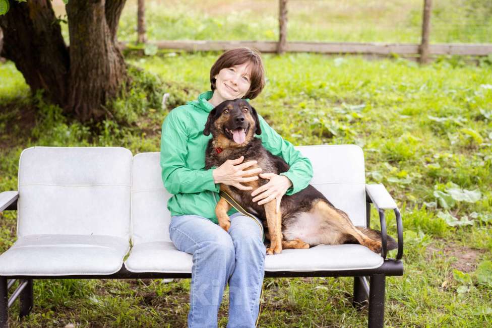 Собаки в Москве: Собака-компаньон Мальчик, Бесплатно - фото 4