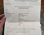 Собаки в Москве: Ласковая девочка метис австралийской овчарки с шестью пальчиками Девочка, Бесплатно - фото 7
