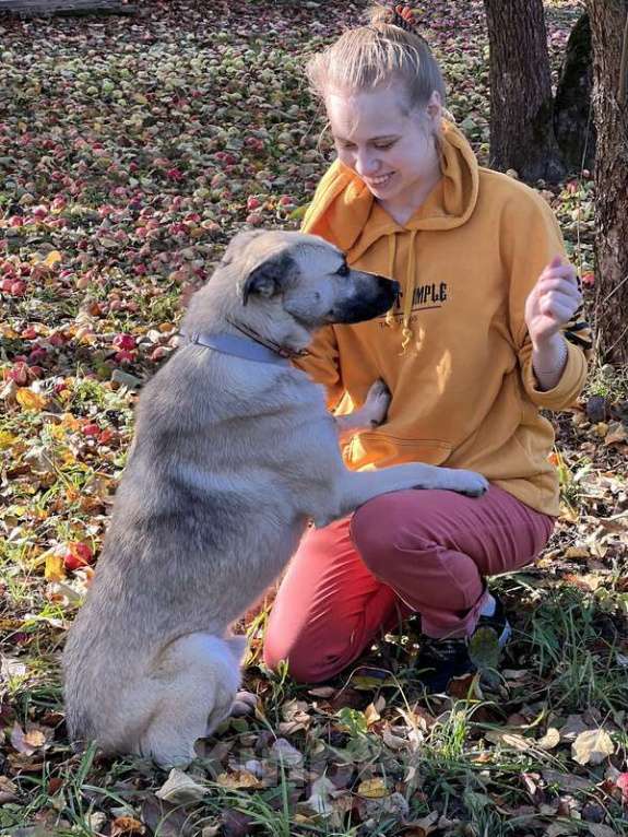 Собаки в Москве: Молодой небольшой чудесный пёсик Люмос в добрые руки Мальчик, 1 руб. - фото 4