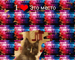 Кошки в Троицке: Котята мейн кун, 5 000 руб. - фото 2