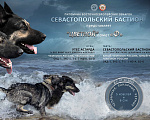 Собаки в Севастополе: щенок восточноевропейской овчарки, документы РКФ Девочка, 70 000 руб. - фото 1