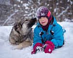 Собаки в Солнечногорске: Соня, 1 год Девочка, Бесплатно - фото 5