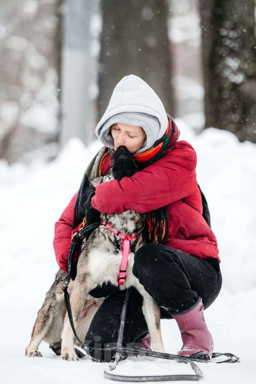 Собаки в Москве: Маленькая Тая из приюта Девочка, Бесплатно - фото 6