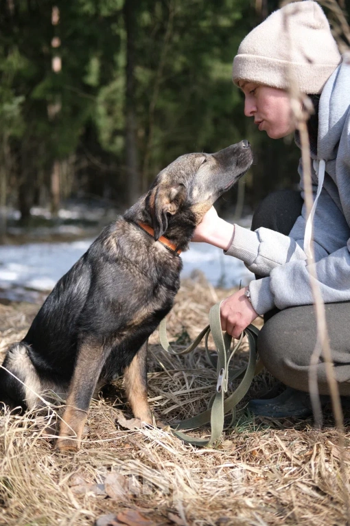 Собаки в Москве: Щенок девочка в добрые руки Девочка, Бесплатно - фото 7
