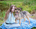 Собаки в Солнечногорске: Собака-улыбка из приюта в добрые руки Девочка, Бесплатно - фото 6
