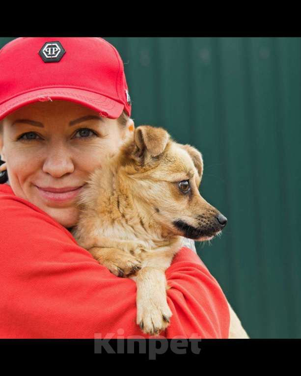 Собаки в других городах Московской области: Тэя :) 5 кг в добрые руки Девочка, Бесплатно - фото 7