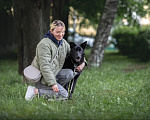 Собаки в Москве: Черный красавец-пёс Тэо в добрые руки Мальчик, Бесплатно - фото 2