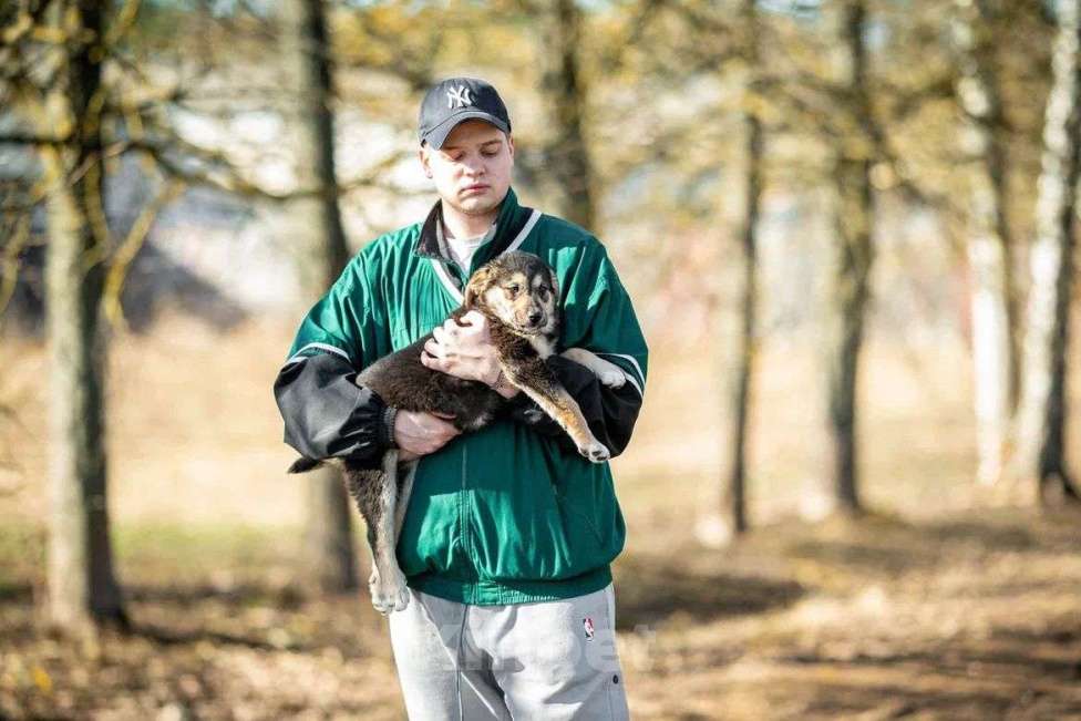 Собаки в Москве: Щенок в дар  Мальчик, Бесплатно - фото 5