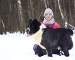 Собаки в Видном: Маклай, 3 года Мальчик, Бесплатно - фото 9