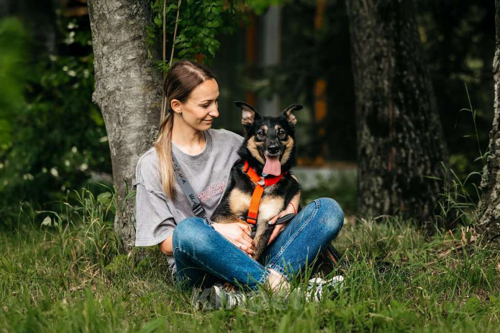 Собаки в Москве: Робкая Киви ищет дом Девочка, Бесплатно - фото 7