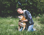 Собаки в Москве: Чудесный пес в добрые руки, Бесплатно - фото 3