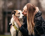 Собаки в Москве: Красавица Пати ищет дом Девочка, 1 руб. - фото 7