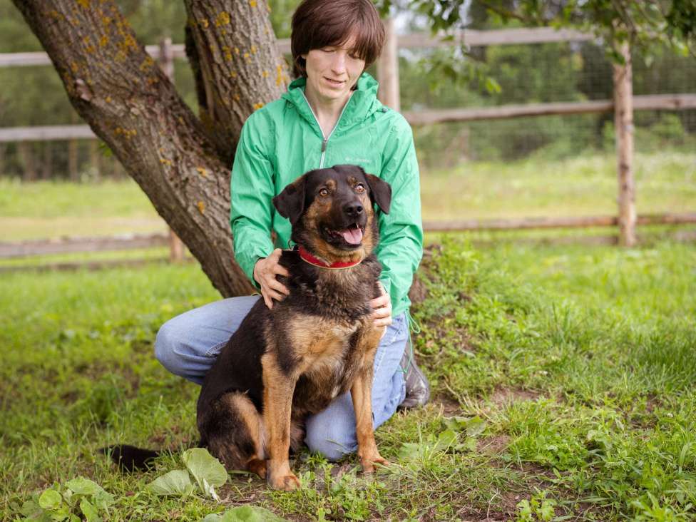 Собаки в Москве: Собака-компаньон Мальчик, Бесплатно - фото 6