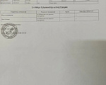 Кошки в других городах Московской области: Ищет добрые руки и сердце кошенька Девочка, Бесплатно - фото 10