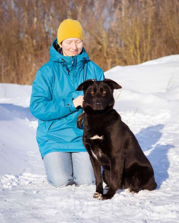 Собаки в Москве: Черника ищет свой дом Девочка, Бесплатно - фото 5