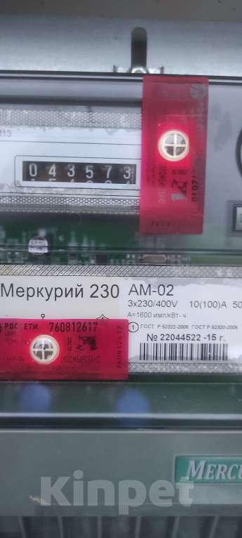 Собаки в Москве: Девочка кане корсо Голубого окраса. Девочка, 80 000 руб. - фото 7