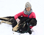 Собаки в Видном: Грумман, 1,5 года Мальчик, Бесплатно - фото 8