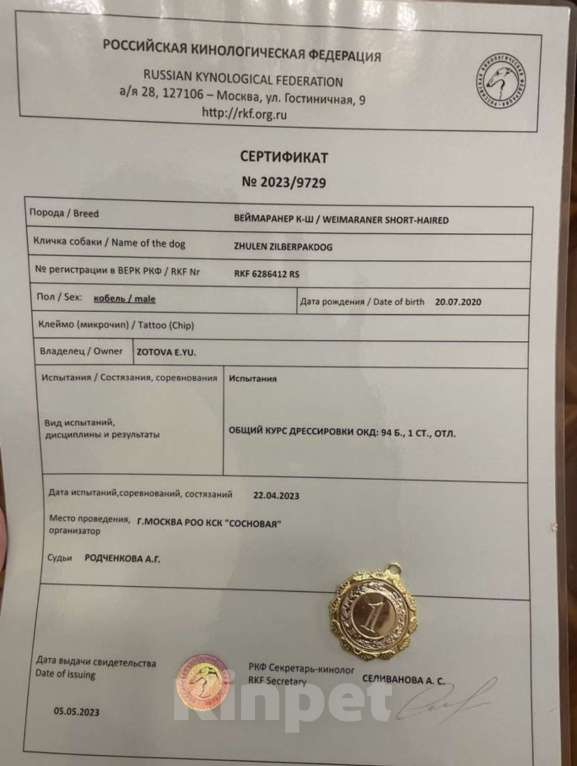 Собаки в Москве: Кобель для вязки  Мальчик, 25 000 руб. - фото 3