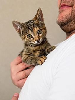 Это Тинька! Вес — котлетка, характер — ракетка!