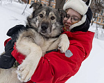 Собаки в других городах Пермского края: Сладкая Папайя в добрые руки Девочка, Бесплатно - фото 5
