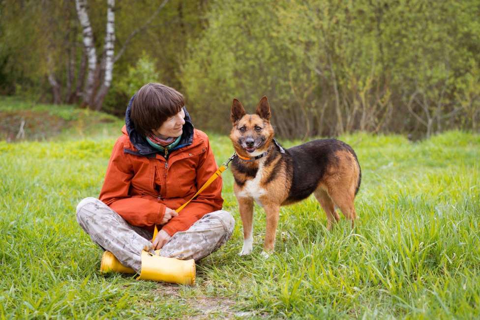 Собаки в Москве: Булочка живёт в приюте и мечтает обрести дом Девочка, Бесплатно - фото 10