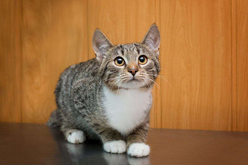 Маленькая девочка Любава