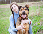 Собаки в Москве: Добрый, жизнерадостный пёс-компаньон Мальчик, Бесплатно - фото 4