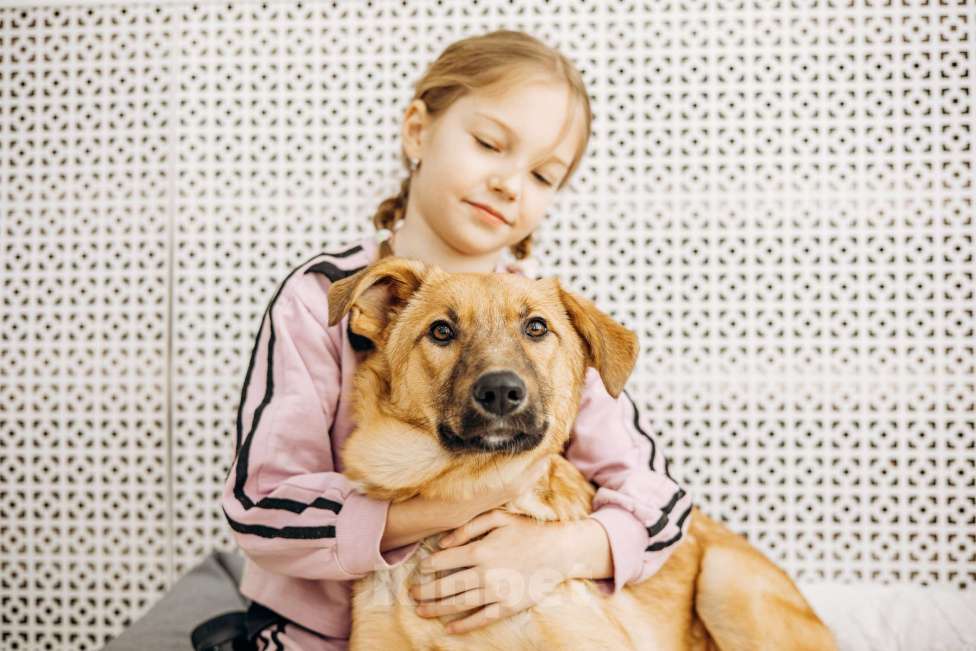 Собаки в Москве: Щенок бесплатно в Москве Девочка, Бесплатно - фото 9