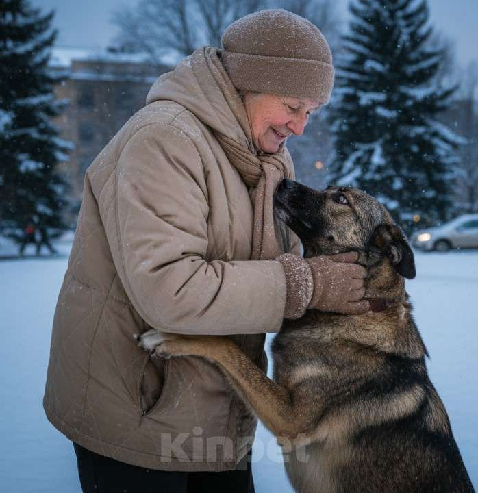 Собаки в Москве: Собака в добрые руки Девочка, Бесплатно - фото 3