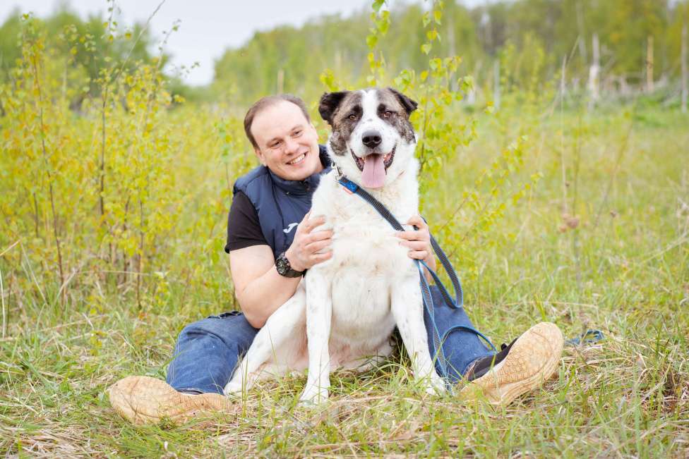 Собаки в Москве: Супер-ласковый парень в добрые руки! Мальчик, Бесплатно - фото 8