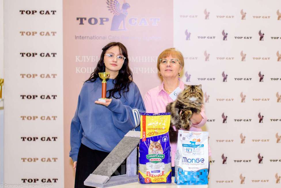 Кошки в Новосибирске: Персидский мальчик Мальчик, 35 000 руб. - фото 4