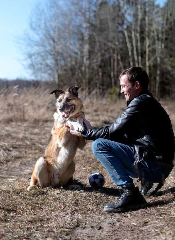 Собаки в Балашихе: Харви мечтает о хозяине  Мальчик, Бесплатно - фото 2