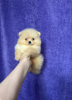 Мальчик