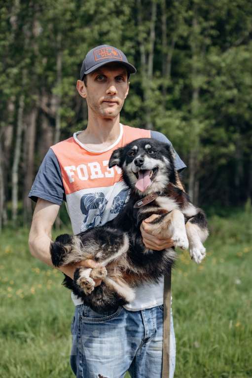 Собаки в Москве: маленькая собачка в добрые руки! Девочка, Бесплатно - фото 4