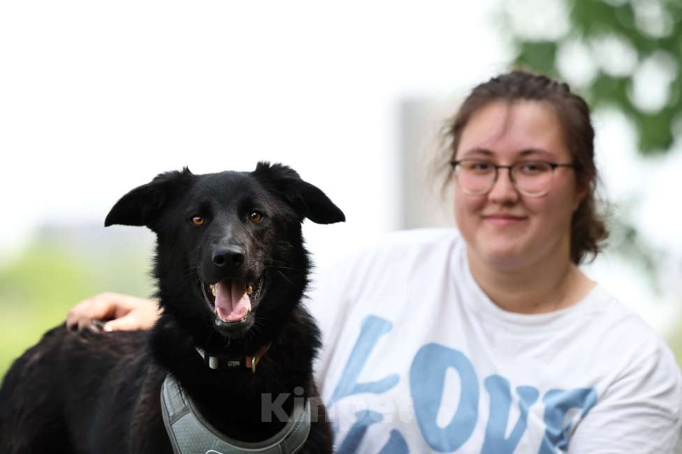 Собаки в Москве: Малыш Майли замерзает в приюте Мальчик, Бесплатно - фото 4