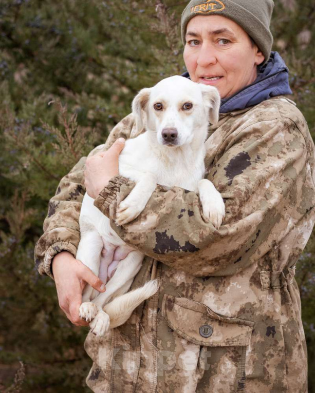 Собаки в Москве: В добрые руки Девочка, Бесплатно - фото 1