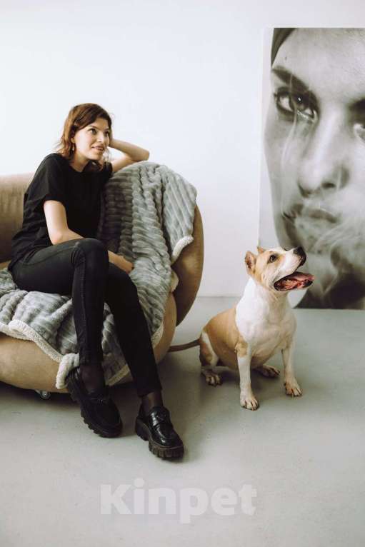 Собаки в Москве: Совершенно очаровательная стаффочка по имени Сара ищет дом Девочка, 1 руб. - фото 2