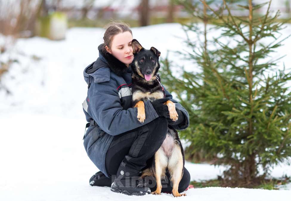 Собаки в Мытищах: Энергичная Джулия ищет дом Девочка, Бесплатно - фото 6